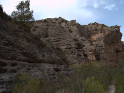 Rambla Perea-Mula 2018